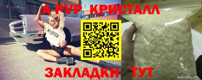 стаф Балаково