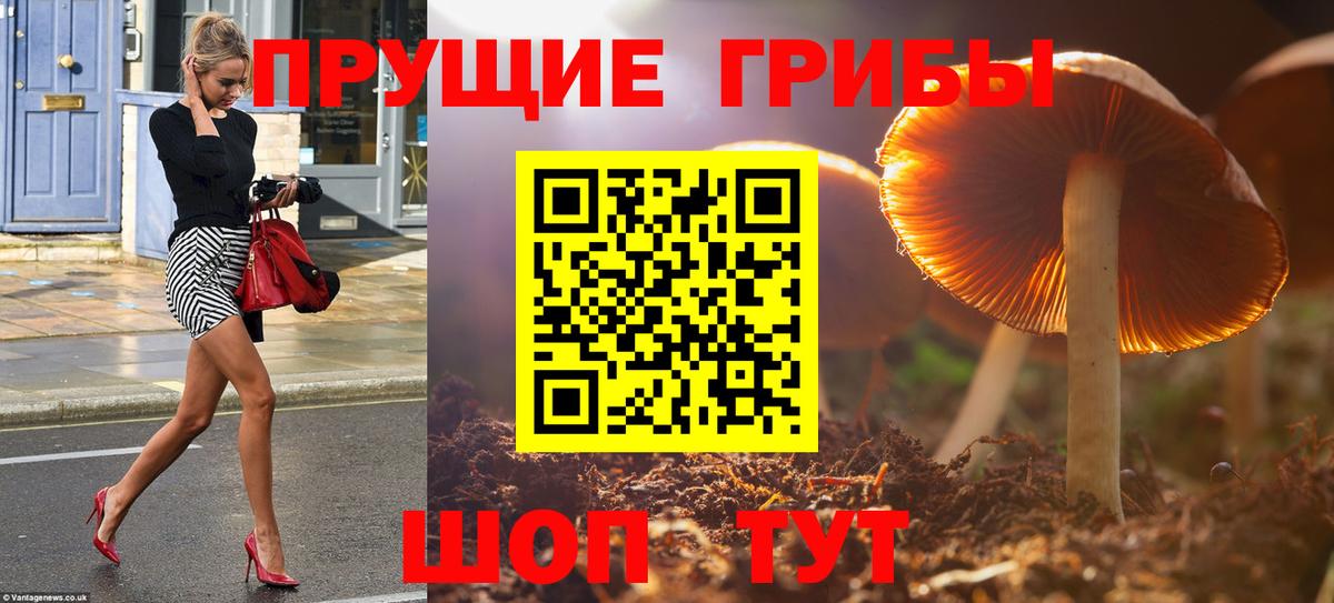 Галлюциногенные грибы Cubensis  Вход с VPN  Джанкой 